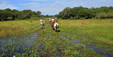 Brazil-Pantanal-Pantaneiro Ride in the Pantanal